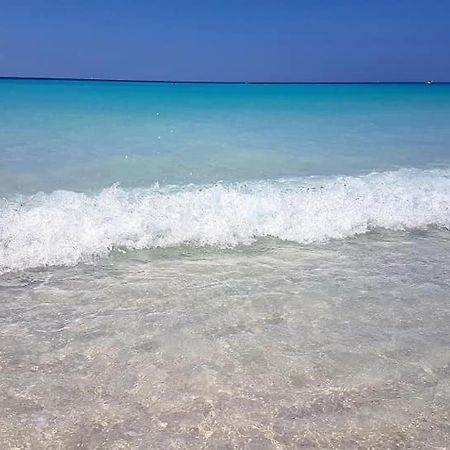 Agriturismo Il Poggio Casale Marittimo Bagian luar foto
