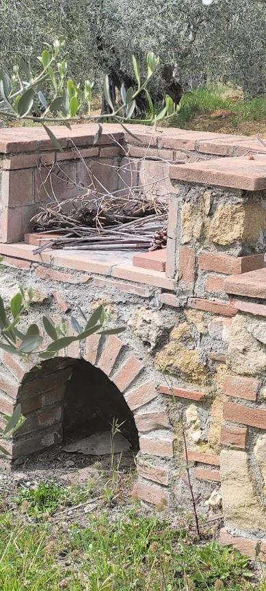 Agriturismo Il Poggio Casale Marittimo Bagian luar foto